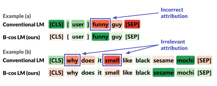 B-cos LM: Efficiently Transforming Pre-trained Language Models for Improved Explainability