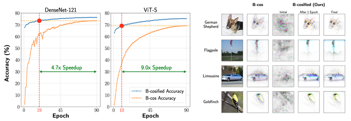 B-cosification: Transforming Deep Neural Networks to be Inherently Interpretable