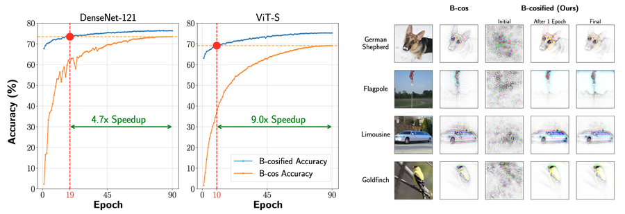 B-cosification: Transforming Deep Neural Networks to be Inherently Interpretable