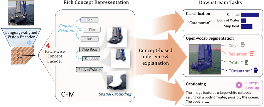 CFM: Language-aligned Concept Foundation Model for Vision