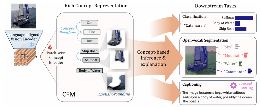 CFM: Language-aligned Concept Foundation Model for Vision