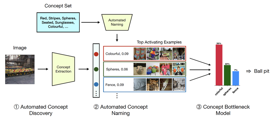 Discover-then-Name: Task-Agnostic Concept Bottlenecks via Automated Concept Discovery