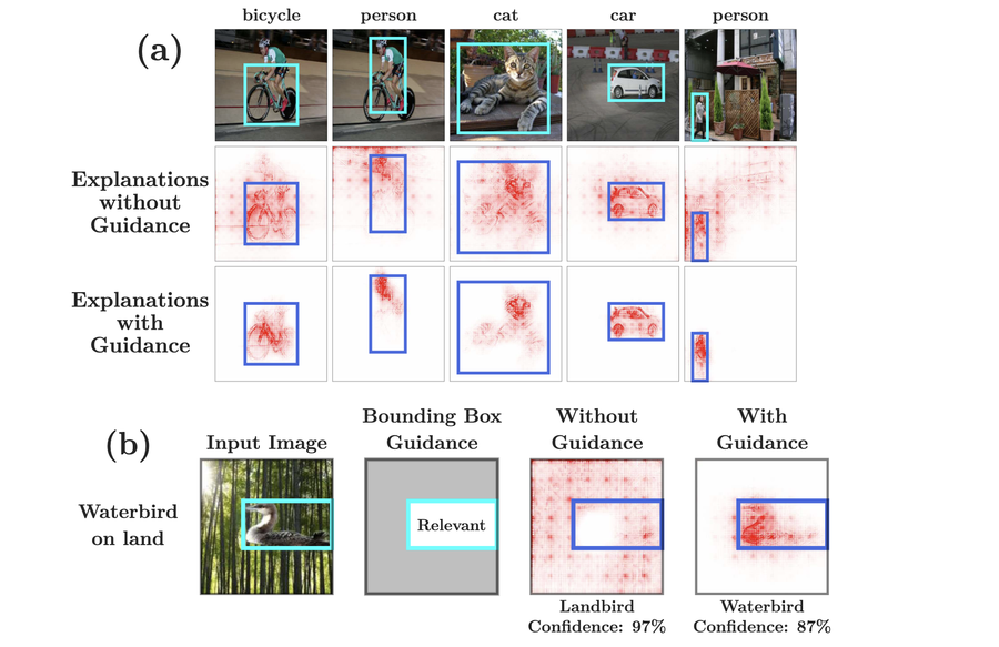 Studying How to Efficiently and Effectively Guide Models with Explanations